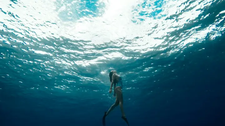 Ronilac u morskoj vodi, ilustracija podvodnih sportova; Jeremy Bishop / Unsplash. Nije snimljeno u Baru.
